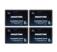 Gigastone Certifié NAS 1To NAS SSD Disque (Lot de 4) 24 h/24, 7 j/7 Durable TLC Endurance élevée Raid Synchro sécurisée des données Cache de Stockage en réseau 2,5 Pouces SATA Disque Dur ssd Interne