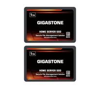 Gigastone Serveur SSD 1To (Lot de 2) NAS SSD Cache 24h/24, 7j/7 TLC Haute Endurance Business Secure Personal Cloud Créatif Professionnel Réseau Attaché Stockage Raid 2,5" SATA Disque Dur Interne SSD