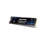 Gigastone SSD M.2 NAS SSD 2 to 24h/24 et 7j/7 Haute Endurance Cache pour Stockage réseau Business Data Center Personal Cloud PCIe 3.0 NVMe NAS Disque SSD Interne