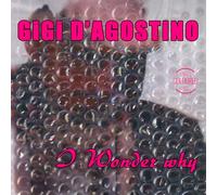 Gigi D'Agostino - I Wonder Why [Import]