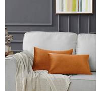 GIGIZAZA Cannelle Housse de Coussin en Velours Décoration Taie d'oreiller pour Salon Canapé Chambre 30x50CM Ensemble de 2