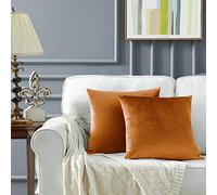 GIGIZAZA Cannelle Housse de Coussin en Velours Décoration Taie d'oreiller pour Salon Canapé Chambre 45x45CM Ensemble de 2