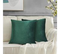GIGIZAZA Housse de Coussin 55x55cm Canapé en Velours Décoration Chambre Taie d'oreiller Sofa Salon 2 pièces Vert