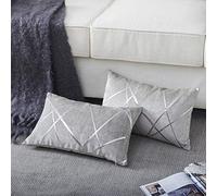 Gigizaza Lot de 2 Housses de Coussin en Velours pour canapé, lit, décoration de la Maison, Velours, Gris, 12x20 Pouces