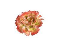 GIJMZY 5 Pcs Artificial Hibiscus Mutabilis Ceramic Handmade Fake Flower Creative Art Floral Home Party Garden Decor(1Pcs Type 1)