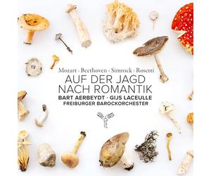 Gijs Laceulle - Auf Der Jagd Nach Romantik