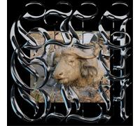 Gila – Trench Tones – Vinyle 12" EP – Édition limitée