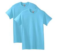 Gildan Lot de 2 Chemises Opaques pour Homme, Ciel (Lot de 2), L