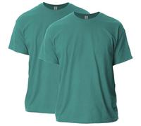 Gildan Lot de 2 t-Shirts pour Homme, Dôme de Jade, XL