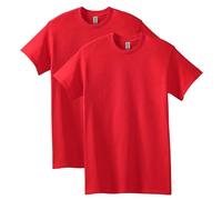Gildan Men's Heavy Cotton Adult T-Shirt, 2-Pack