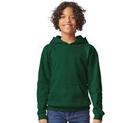 Gildan - Sweat à capuche - Enfant (RW10285) UTRW10285_1