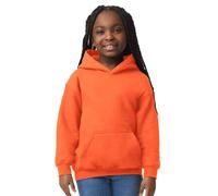 Gildan - Sweat épais à capuche HEAVY BLEND - Enfant (PC6242)