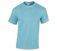 Gildan - T-shirt à manches courtes - Homme (S) (Bleu ciel)