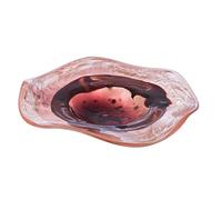 GILDE Bol en verre orange/rose - Hauteur : 9 cm - Diamètre : 40 cm