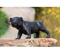 Gilde Figurine décorative Sculpture Chien Bouledogue Bobby avec Collier à Rivets Noir env. 69 x 38,5 x 30 cm