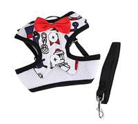 Gilet à nœud Papillon pour Chien, Veste d'extérieur pour Chaton, Robe pour Petit Chien, Jouets de Piscine gonflables, Petit Animal de Compagnie pour Chiens Moyens et Petits Chiens O
