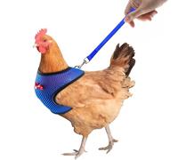 Gilet de harnais de poulet, harnais pour - Ceinture de faisceau de poulet respirant réglable | Corche d'entraînement de 3,6 pieds de poule, fournitures pour animaux de compagnie pour les poules, les c