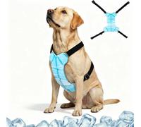 Gilet de refroidissement, 30 % plus léger que les gilets d'eau, équipement physique léger Dry-Chill (empêche le refroidissement excessif), cordons extensibles réglables, gilet de refroidissement pour