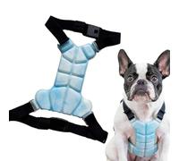 Gilet De Refroidissement Physique pour Chien, Sac Refroidissement Corporel À Boucle Réglable Chiens De Petite Et Moyenne Taille, Vêtements Prévention des Coups Chaleur Fournitures D'été, Unité