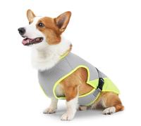 Gilet de Refroidissement pour Chien,Gilet de Glace en Maille pour Animaux de Compagnie avec Sangles Réglables pour Petits,Moyens et Grands Chiens,Entraînement de Chasse en Plein Air,Camping