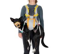 Gilet de sauvetage pour chien Ruffwear BackTrak Gris M