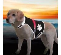 Gilet De Sécurité Flash, S: 36-58 Cm, Noir - Mon Animalerie G