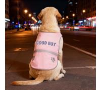 Gilet de sécurité personnalisé avec nom d'animal de compagnie, gilet haute visibilité pour chien, gilet brodé, veste de dressage pour la marche des animaux de compagnie, cadeau personnalisé (rose