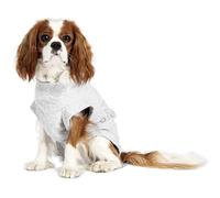Gilet de sécurité pour chien Flamingo Gris 29x28x36 cm