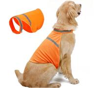 Gilet de sécurité pour chien - Gilet de visibilité pour chien respirant orange réglable fluorescent - Fournitures pour animaux de compagnie de chasse confortables pour l'entraînement, les activités de