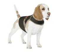Gilet de sécurité pour chien réfléchissant et lumineux avec USB Duvoplus Noir L
