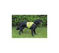Dog Copenhagen Trixie Gilet de Sécurité Safer Life pour Chien en Polyester L Jaune Fluo 1 Unité