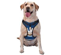 Gilet de traction imprimé drapeau de l'État de Louisiane pour animaux de compagnie à porter lors de la promenade du chien ou de l'escalade des montagnes