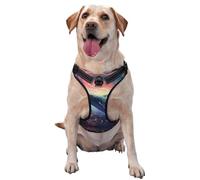 Gilet de traction imprimé pour animal de compagnie Motif fleurs dansant avec baleines Taille XL - Idéal pour promener le chien, randonnée, voyage quotidien