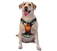 Gilet de traction pour animal de compagnie avec illustration de cochons d'Inde - Harnais pour chien de taille moyenne - Fournitures pour l'extérieur, les voyages, la promenade du chien