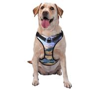 Gilet de traction pour animal domestique avec sangle de poitrine pour la pêche au bar