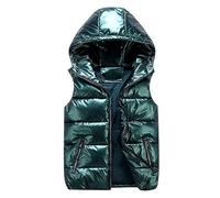 Gilet Doudoune Femme Printemps Hiver sans Manche Fermeture Zippé Capuche Amovible Manteau Veste Chaud Court Parka Gilet Gilet Court Gilet Thermique 2023