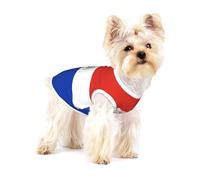 Gilet en coton imprimé drapeau du Paraguay pour petit animal domestique - Doux et respirant - Élastique - Tenue quotidienne de fête