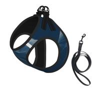 Gilet en maille respirante pour petits chiens et chats - Réfléchissant | With Accessories Harnais structurel pour petit animal de compagnie Motif ours bleu Taille L - Maille aérée légère avec boucle