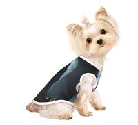 Gilet léger imprimé fantôme d'Halloween pour chien, chat, chemise sans manches, design en maille respirante pour la promenade et les jeux d'été
