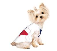Gilet léger sans manches pour chien et chat avec imprimé carte du drapeau du Texas, design en maille respirante pour les promenades et les jeux d'été