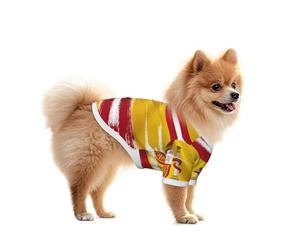 Gilet pour chien avec drapeau de l'Espagne - Vêtement d'été pour petits chiens, convient pour la promenade et les activités de plein air