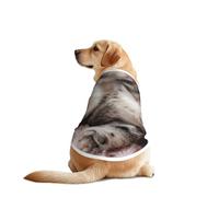 Gilet pour chien imprimé chat endormi, doux et respirant, vêtements sans manches, vêtements tendance pour races moyennes et grandes