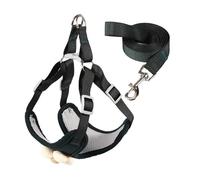 Gilet pour chien - Jolie laisse à fleurs pour grands petits chiens - Laisse multicolore solide - Longue ceinture souple - Harnais pour chats