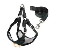 Gilet pour chien, jolie laisse pour dressage, promenade, pour grands petits chiens, corde multicolore