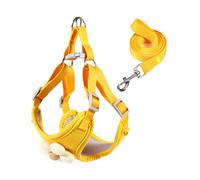 Gilet pour chien, jolie laisse pour dressage, promenade, pour grands petits chiens, corde multicolore harnais pour animaux de compagnie chats