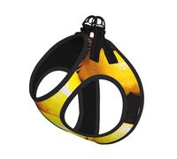 Gilet pour Chiot avec Laisse imprimée Citrons et Panier, Doux et Ajustable, idéal pour Les promenades en extérieur avec Laisse.