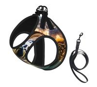 Gilet pour Chiot avec Laisse imprimée de Grandes Tortues Marines, Souple et Ajustable, idéal pour Les promenades en extérieur avec Laisse.