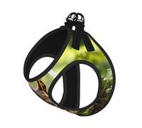 Gilet pour Chiot avec Laisse imprimée écureuil, Doux et Ajustable, idéal pour Les promenades en extérieur.