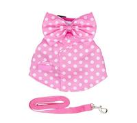 Gilet pour Lapin - Tenue Respirante et Ajustable - Harnais pour Chat Anti-évasion avec Longe et nœud,pour Petit Lapin Écureuil Promenade Randonnée