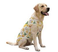 Gilet rafraîchissant pour Chien à Motifs Noix de Coco, Bananes et pins, Pull d'été Mignon, vêtements pour Animaux de Compagnie pour Grands Chiots